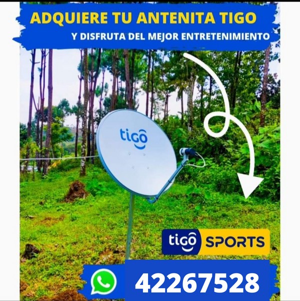 Antenita tigo