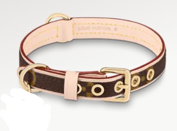 Collar Canino de Lujo