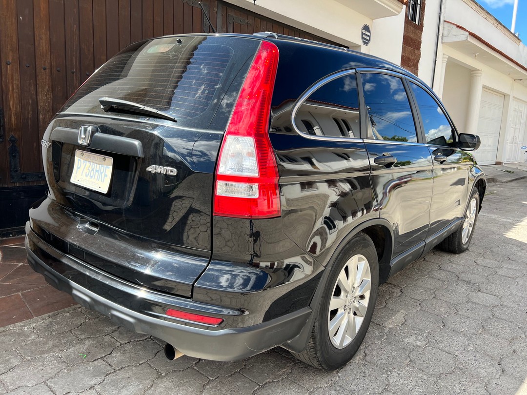 Honda 2010 2010