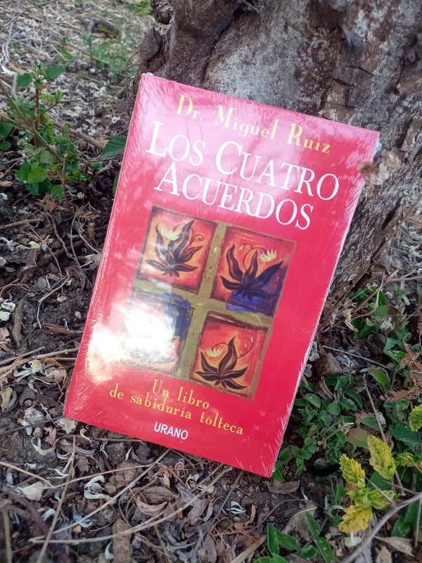 Libros (Heartstopper, los Cuatro Acuerdos, La Divina Comedia y Porfavor sea feliz)