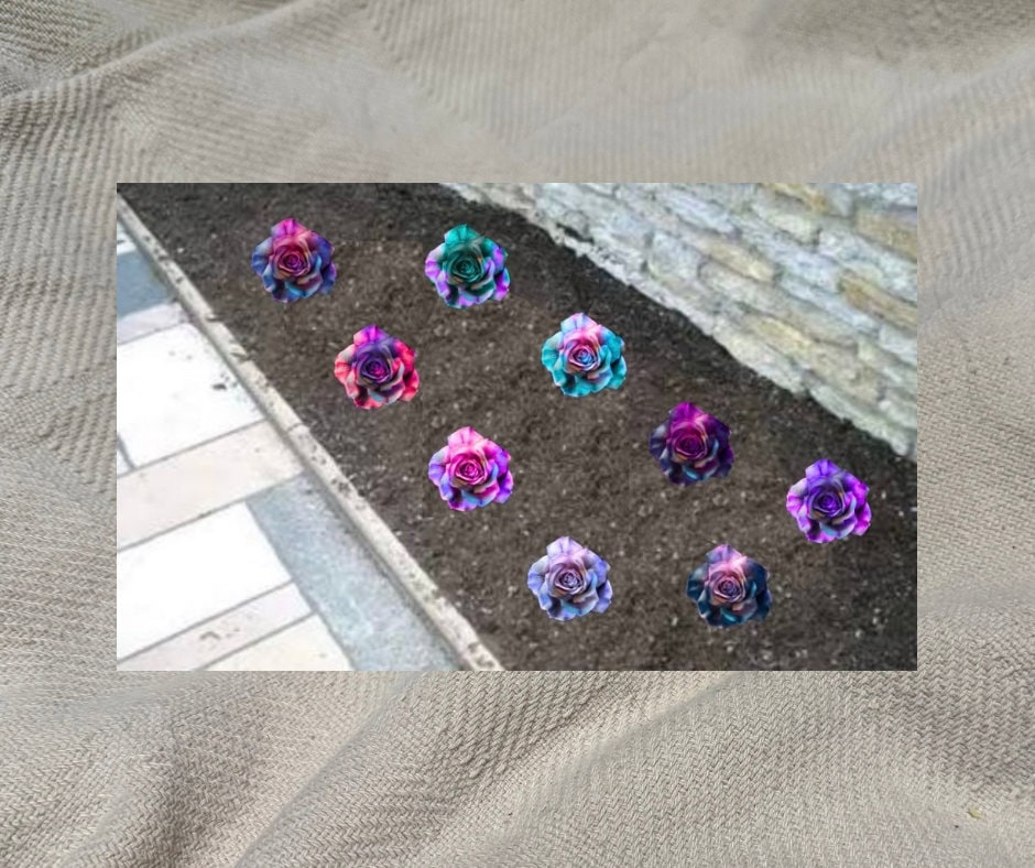 Pretty Colorful Floral Design