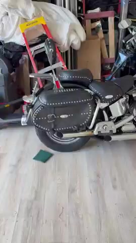 Harley!