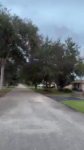 Listing video