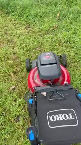 Listing video