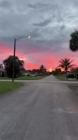 Listing video