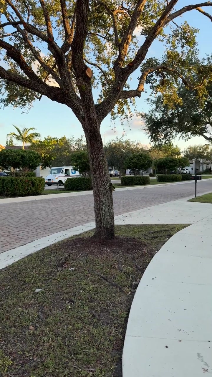 House in Doral